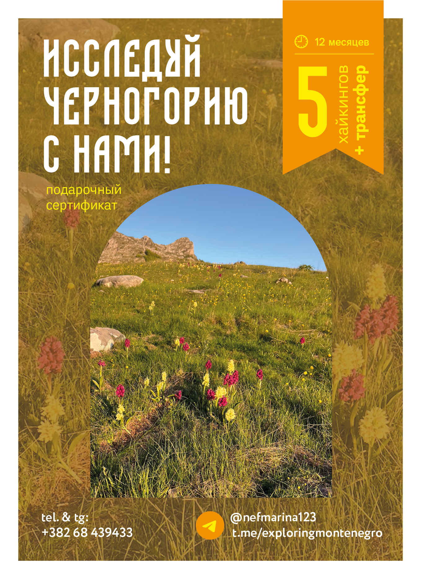 5 хайкингов + трансфер